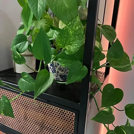 Διαμέρισμα Z Widokiem - Blablaflat Ku Sloncu Στσέτσιν