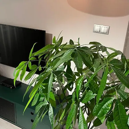 Z Widokiem - Blablaflat Ku Sloncu Apartment