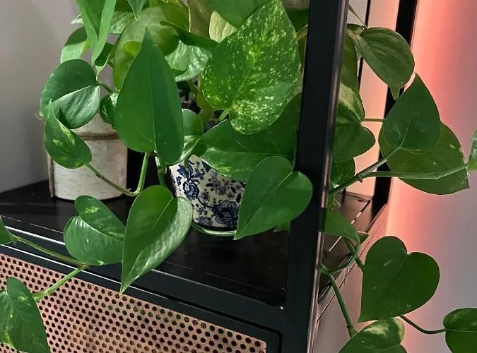 Apartment Z Widokiem - Blablaflat Ku Sloncu Szczecin