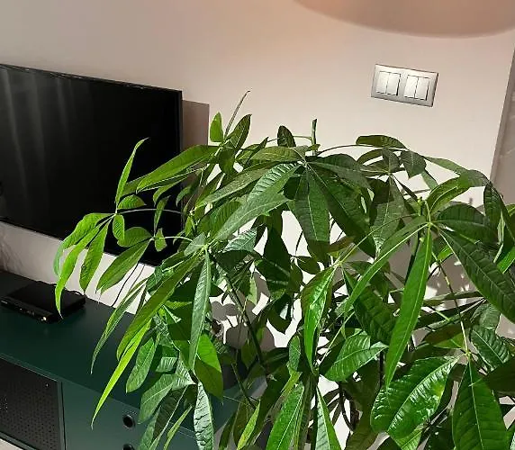 Z Widokiem - Blablaflat Ku Sloncu Apartment